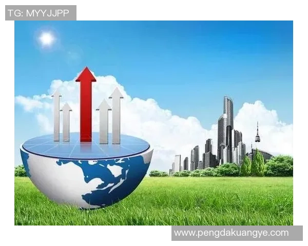 在顾全大局中寻求平衡与发展的智慧之道